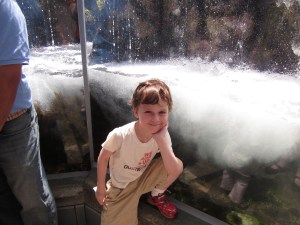 Monterey Bay Aquarium