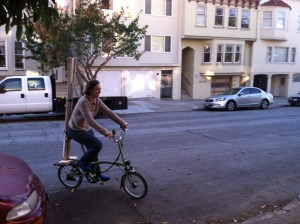 If we'd gotten a smaller tree it TOTALLY WOULD HAVE WORKED.