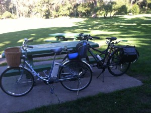 Matt is jealous of my cushion.