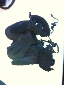 Ski mittens, not ski gloves.