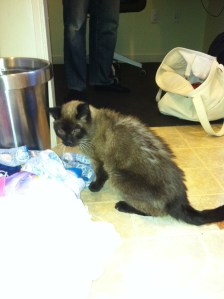 Rest in peace, buddy.