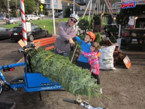 We were having camera trouble at the lot, so this mug-shot is the best we've got.