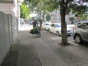 We don't normally ride on the sidewalk, but it made for a good photo.