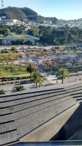 Looking out over our neighborhood